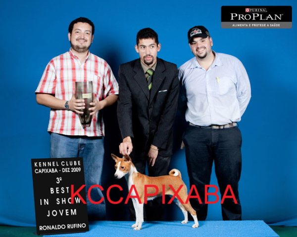 Clique sobre a foto para fechar